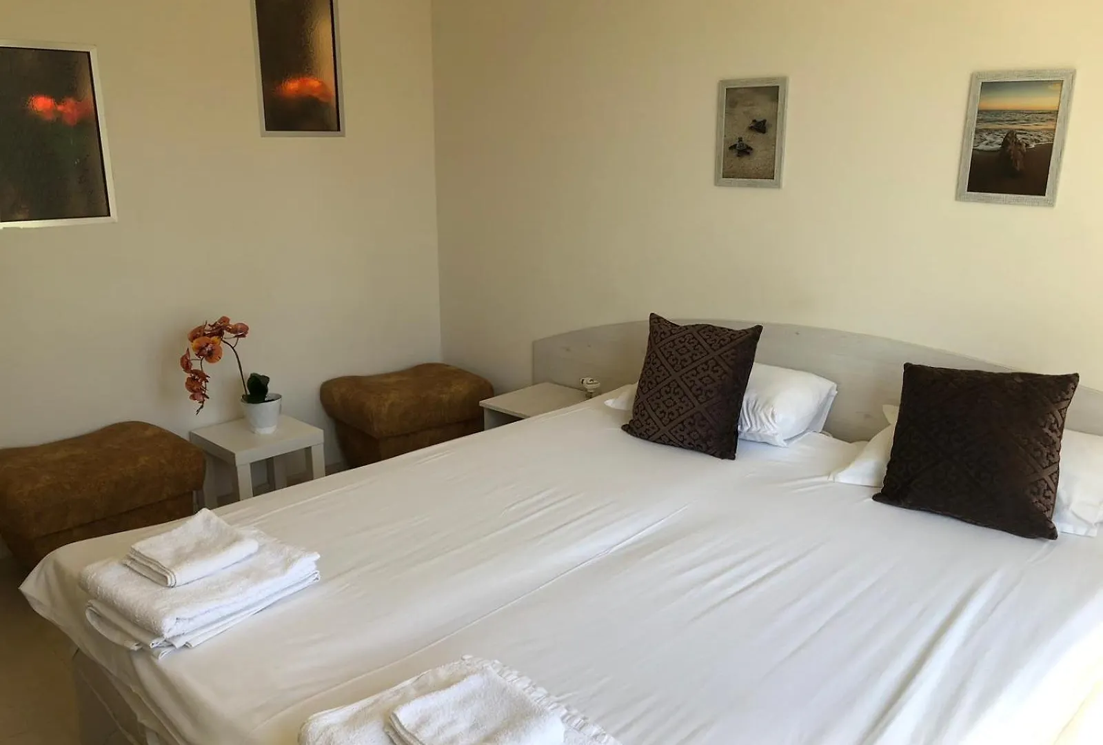 Complex Pika Guest House Golden Sands