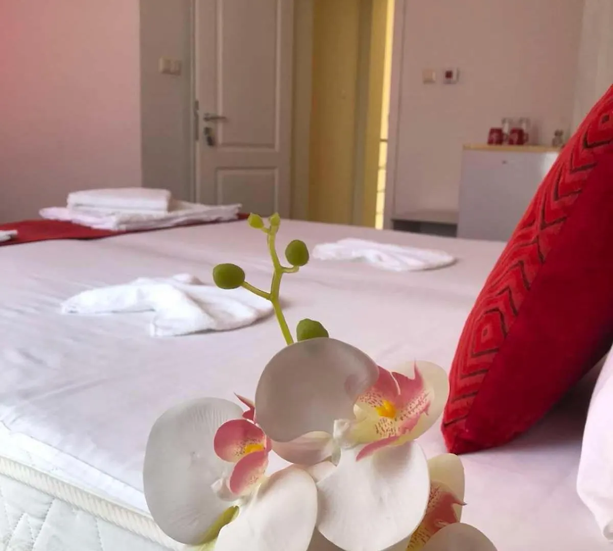 Complex Pika Guest House Golden Sands